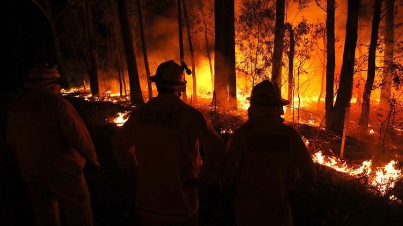 Waldbrände in Australien im Januar 2020