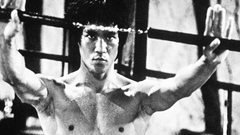 Bruce Lee, Kampfkunst-Ikone