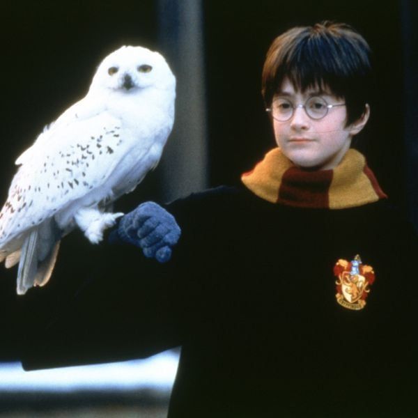 Harry Potter: Eine detaillierte Einführung
